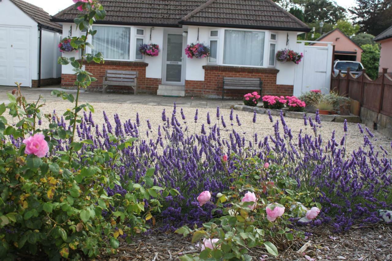 Bed and Breakfast Avon Breeze Christchurch  Esterno foto